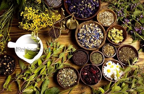 Aktar Şifalı Bitkiler Esenkent 