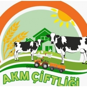 Alo Süt Torbalı