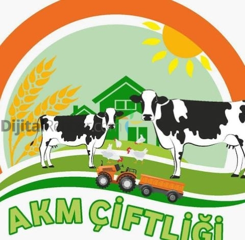 Alo Süt Torbalı
