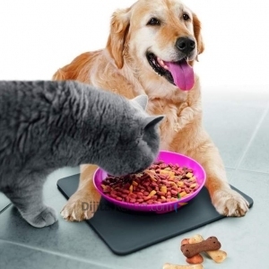 ANKARA ETİMESGUT SAFKAN ALMAN ÇOBAN KÖPEĞİ EVİ