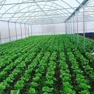  AKSU SERACILIK ANTALYA