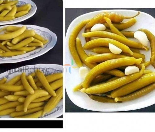 ANTALYA ASMİN TURŞULARI