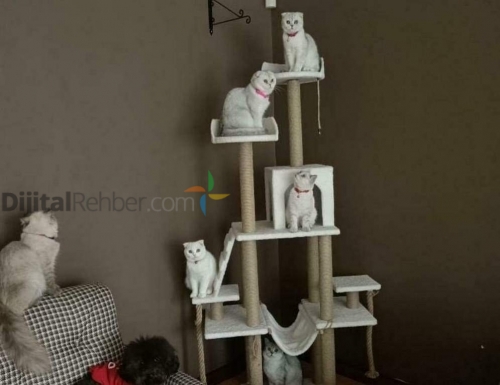KEDİ TIRMALAMA EVİ