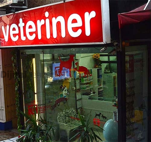 Beşiktaş Barbaros Bulvarı Veteriner Kliniği Taurus