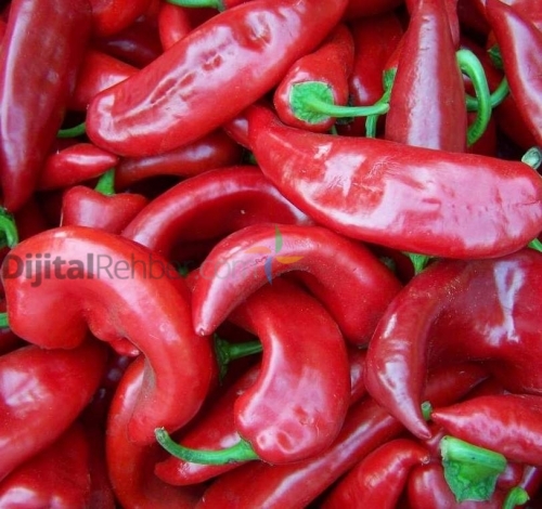 BURSA OLCA GIDA PAZARLAMA BAHARAT