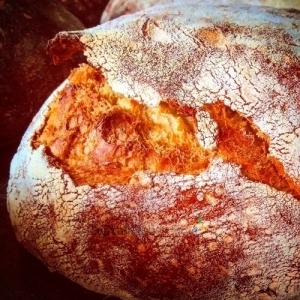 Ekşi Mayalı Kula Ekmeği
