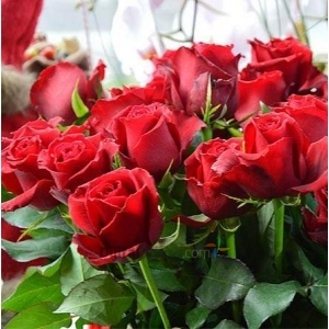 Etiler levent Çiçekçi Elite Flowers