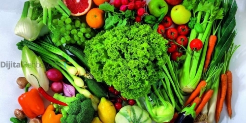 GAZİANTEP ŞAHİNBEY SEBZECİ TARIM SETA VEGETABLE SEEDS