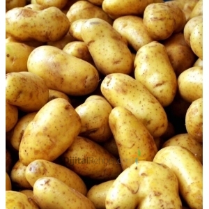KAĞITHANE AFYON PATATES