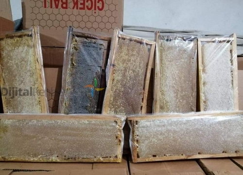 KASTAMONU DAYI YEĞEN ARICILIK