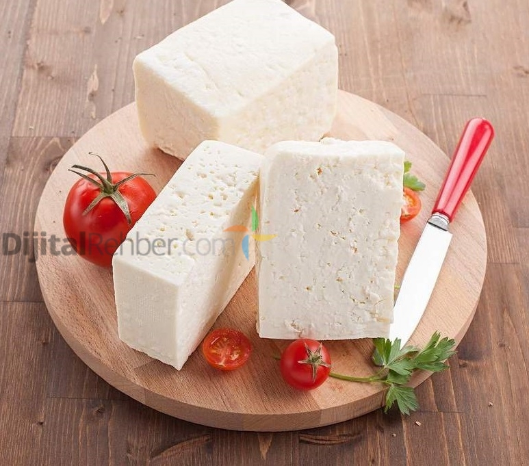 KAYSERİ YERLİ SÜT ÜRÜNLERİ KOCASİNAN