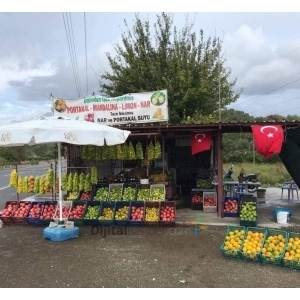 KÖYCEĞİZ ÖZ BAHÇEMDEN NARENCİYE