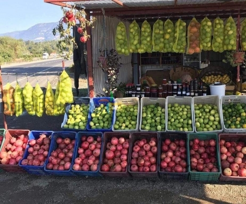 KÖYCEĞİZ ÖZ BAHÇEMDEN NARENCİYE