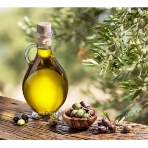 KÜÇÜKÇEKMECE ZEYTİNİSYEN