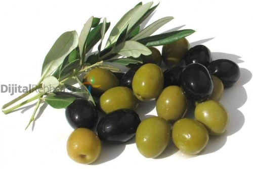 KÜÇÜKÇEKMECE ZEYTİNİSYEN