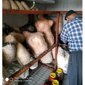 MUT KÖY ÜRÜNLERİ MERSİN TOROSLAR