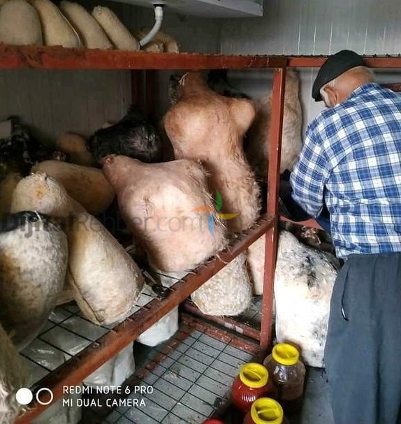 MUT KÖY ÜRÜNLERİ MERSİN TOROSLAR