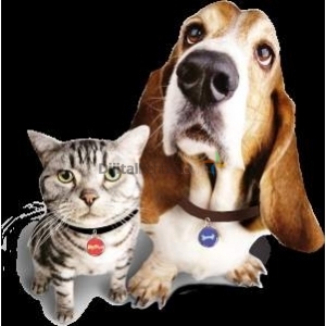 PETSHOP EVCİL ÜRÜNLER KUŞ YEMLERİ KUŞADASI
