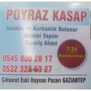 ŞEHİTKAMİL POYRAZ KASAP ADAK VE KURBANLIK