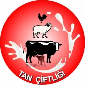 TAN ÇİFTLİĞİ SÜT ,GÜZELÇAMLI